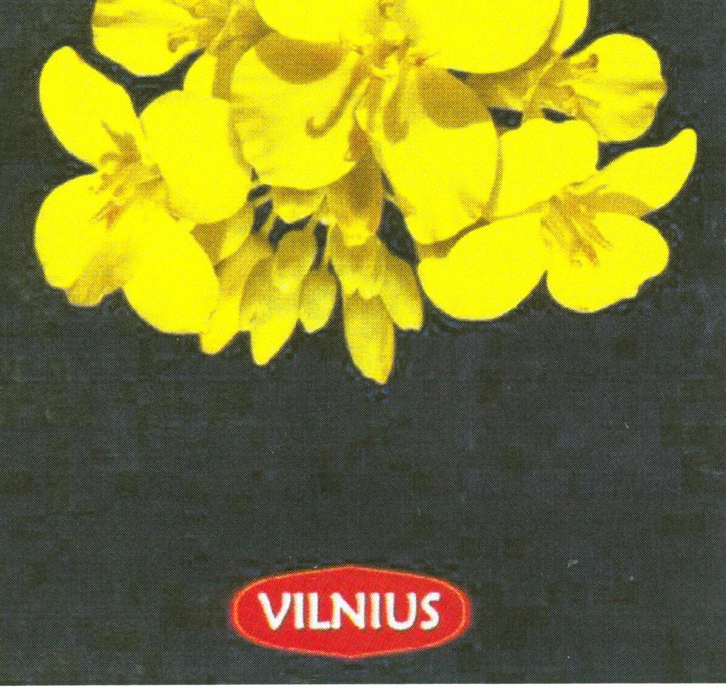 Prekės ženklas: VILNIUS